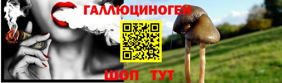 Псилоцибиновые грибы мицелий Славянск-на-Кубани