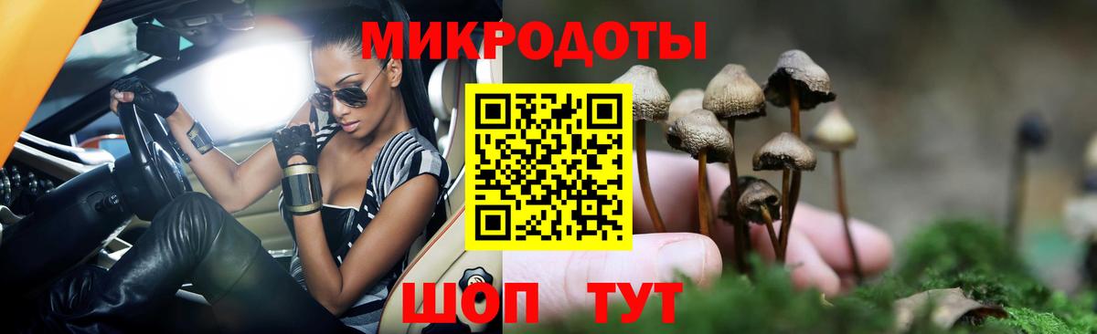 Псилоцибиновые грибы Magic Shrooms  Вход с VPN  Славянск-на-Кубани 